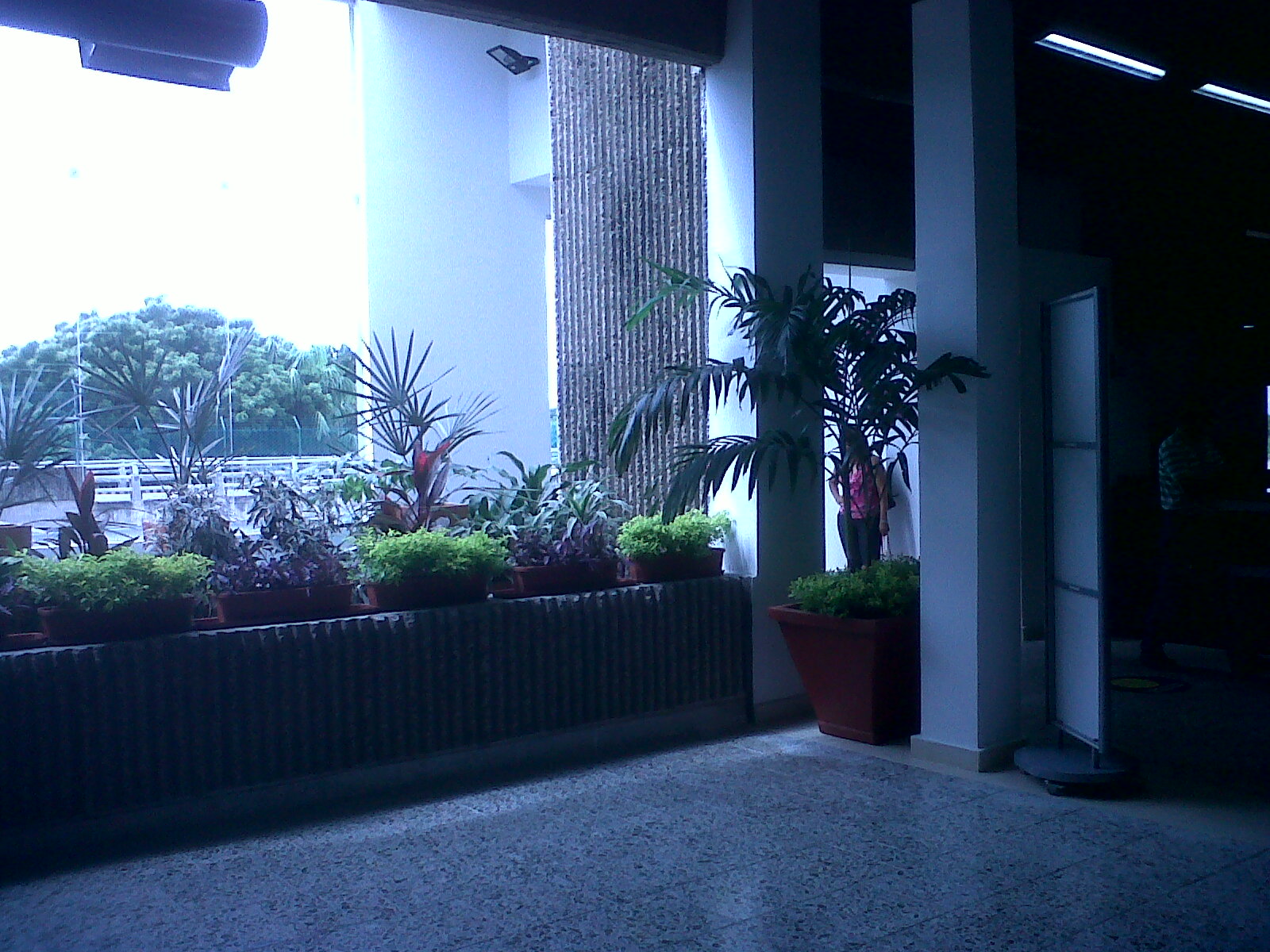 IMG00196-20110715-1000