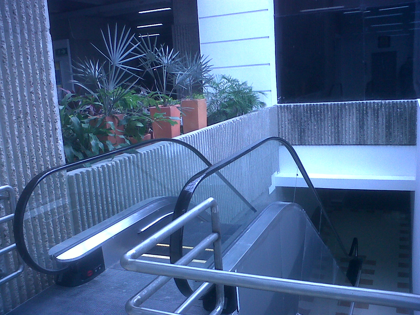 IMG00198-20110715-1002